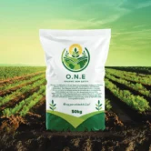 Organic New Earth home-